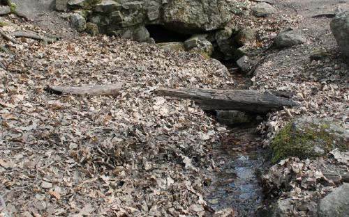 Angelika forrás Angelika forrás