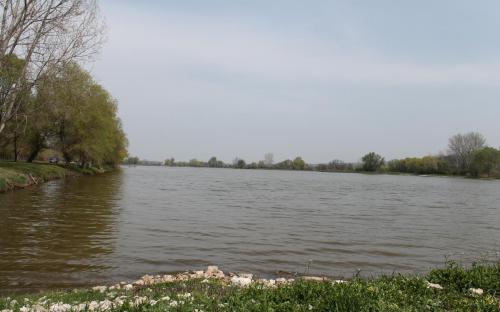 Lujza-major Lujza-major