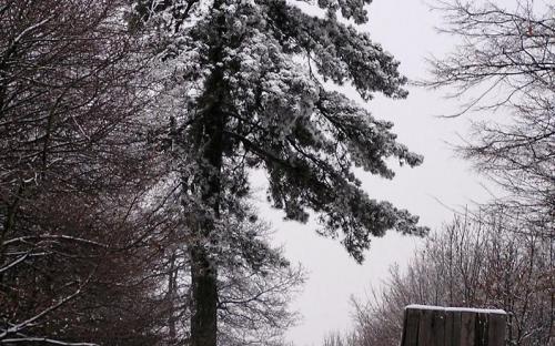 téli Gerecse téli Gerecse